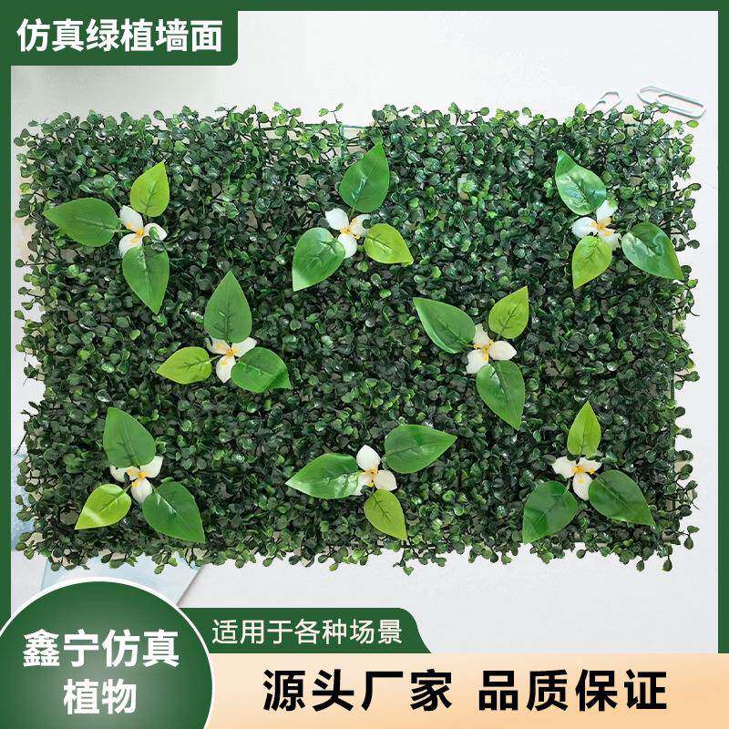 仿真植物墙造景装饰人造草坪米兰假花墙形象墙格挡背景仿真绿植墙