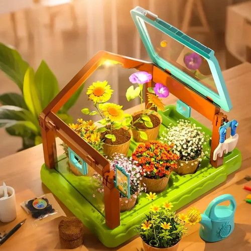 手工diy种植阳光房植物生长套装