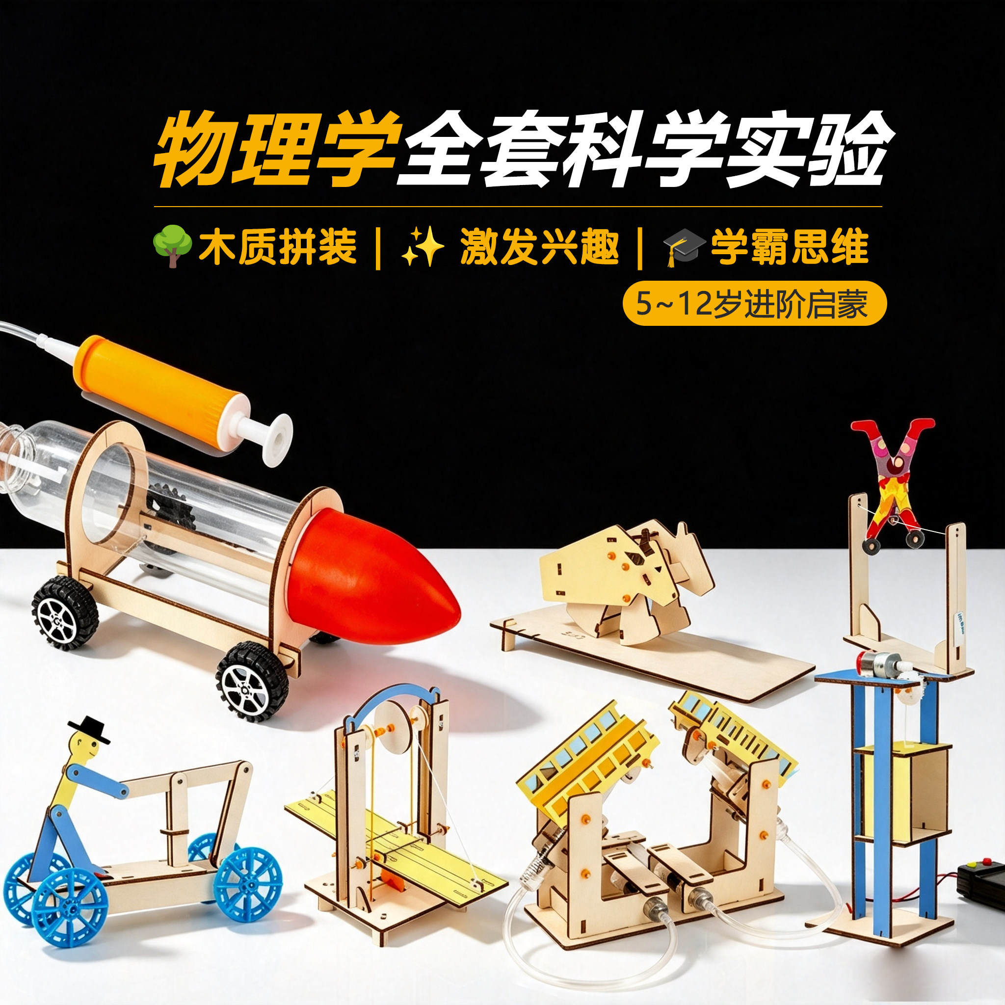 物理学全套科学实验木质拼装玩具