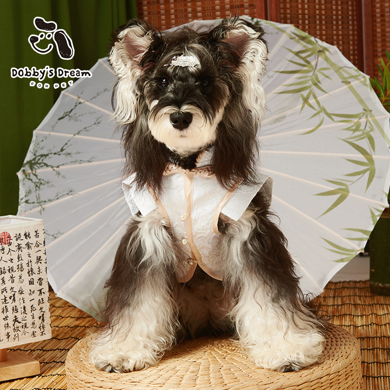 新中式情侣款兄妹款宠物衣服狗狗酷帅唐装参加婚礼秋季新款弟弟款