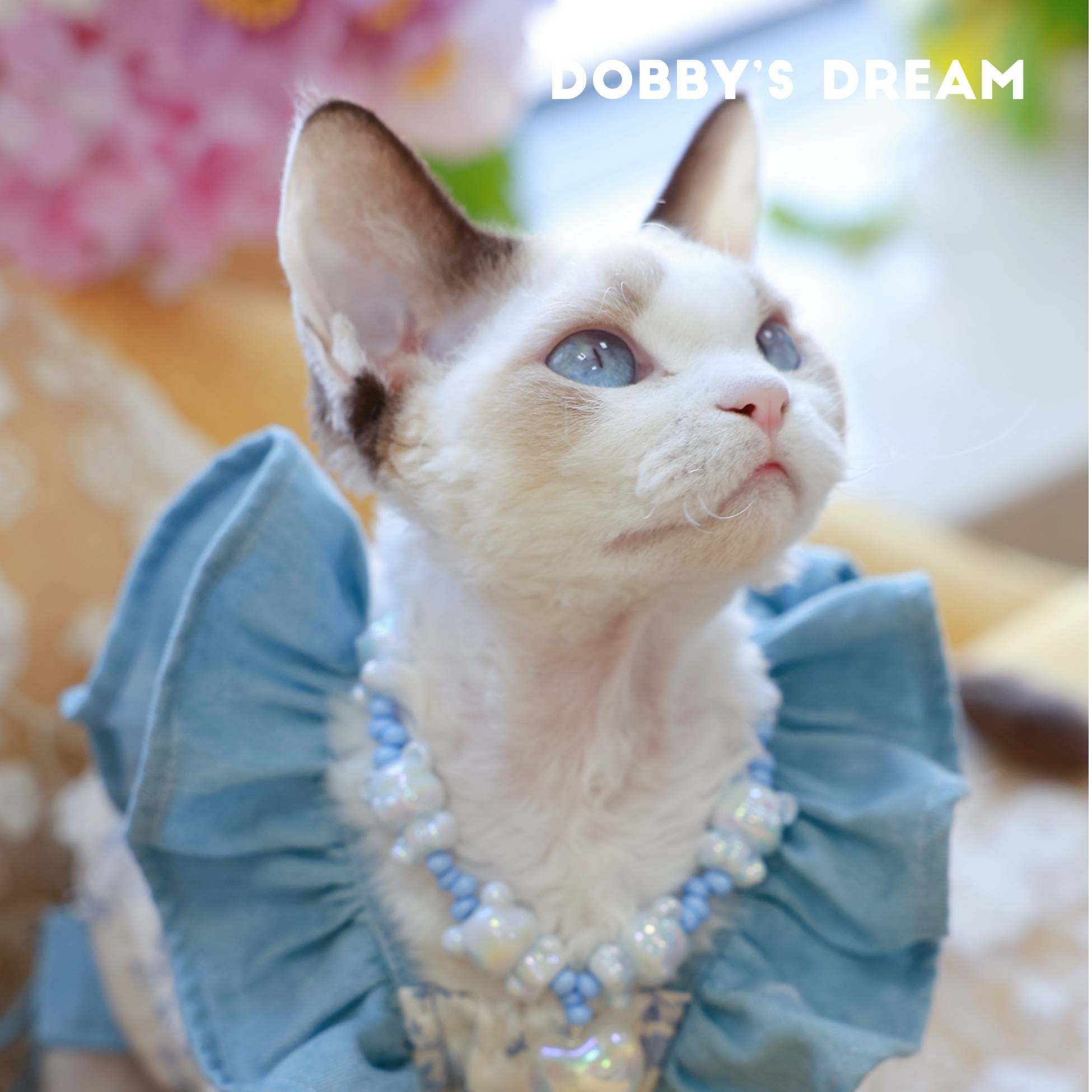 宠物猫咪早秋新品南法假日全棉透气飞袖吊带半身裙德文版