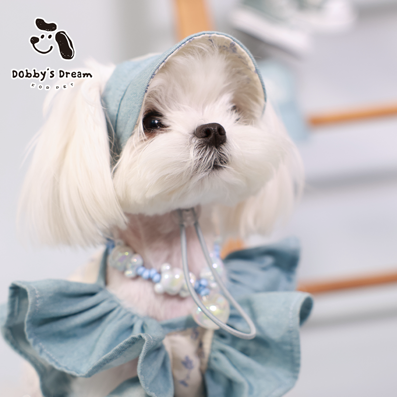 狗狗漂亮夏日防脏衣服裙子