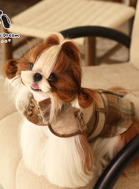 2025秋冬新品高级感狗狗猫咪英伦风衣酷帅风衣带牵引环可牵引衣服