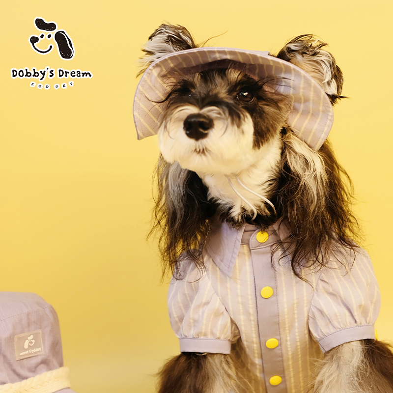 2025新款小狗小猫漂亮秋季衣服四季通用miu系高级感撞色条纹衬衫