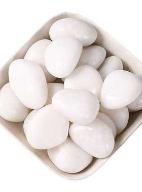 白色石子鹅卵石铺路石头雨花石鹅软石鹅暖石水培郁金香鱼缸造景