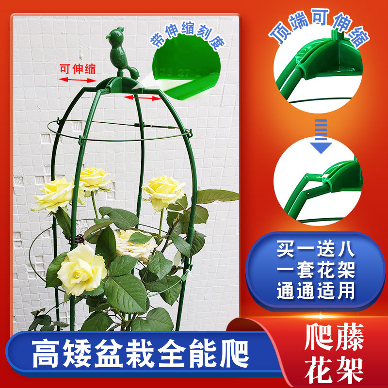 可调节月季花支架铁线莲攀u爬架盆栽玫瑰植物爬藤架园艺固定支撑
