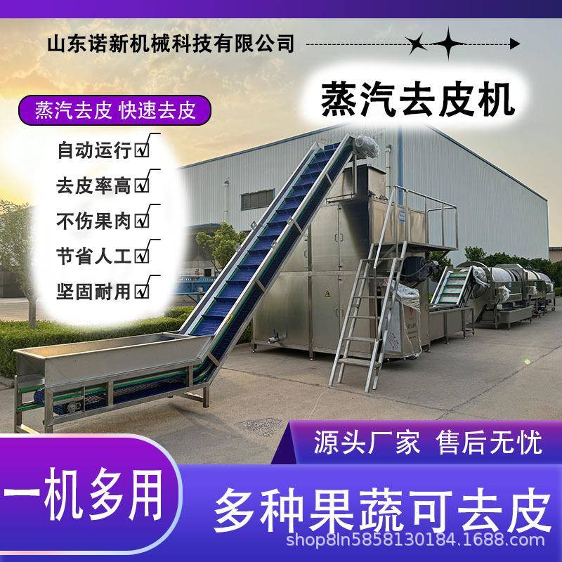 大型果蔬蒸汽去皮机黄桃苹果葡萄西红柿胡萝卜猕猴桃山药蒸汽去