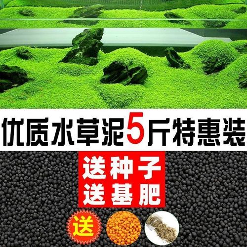 水草泥生态水草泥底砂造景沙净水免洗不粉化水藻泥种植