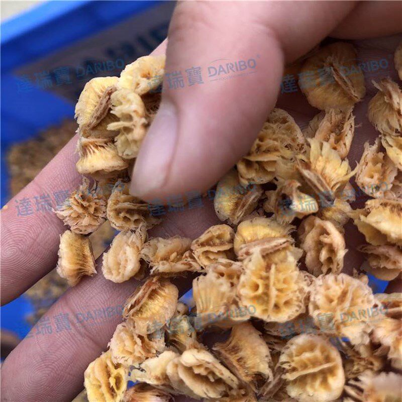 *覆盆子白桃树莓去核打浆机 不锈钢果酱食品加工用打浆机浆渣分离