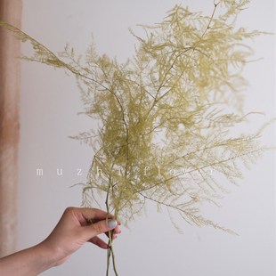 文竹干花桌面摆件真花风干天然摆设家居装饰餐桌茶室民Z宿花束摆