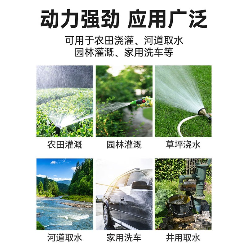 高扬程直流泵12v24v48v农田抽水灌溉淋菜电动电瓶车通用水泵
