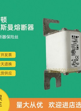 全新快速熔断器保险h170M4865D 170M4866D 170M4867D 170M4908