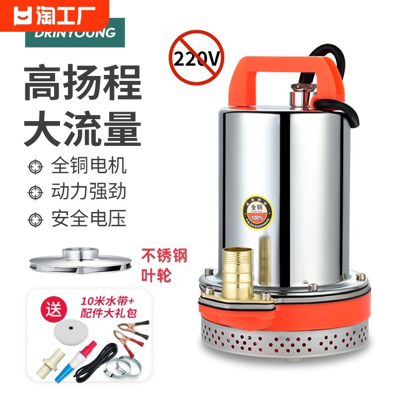直流抽水泵家用电瓶车潜水电泵1w2v24v48v60v小型电动农用抽水机