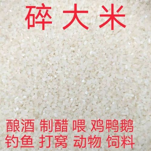 碎米低价便宜米小碎米喂鸡喂鸡鸭大米低价米粘米钓鱼碎米打窝酿酒