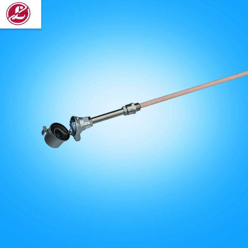 化工行业固定螺纹温度探头双支热电阻WZP2-231铠装热电偶管道