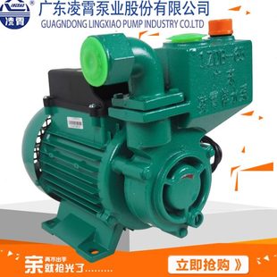 凌霄吸水泵井水家用220v单相高扬程自来水清水泵增压自吸泵抽水机