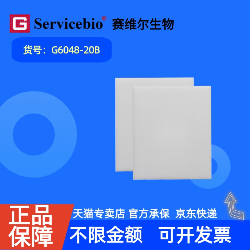 现货 赛维尔生物Servicebio WB转膜海绵（免滤纸，80×96mm） G6048-20B 20片（80×96 mm） 科研实验