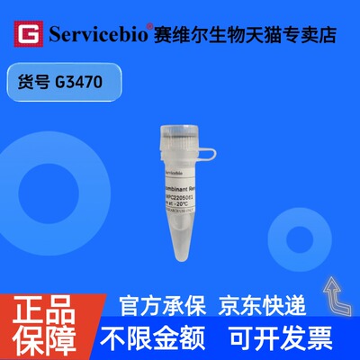 现货 Recombinant Renilla luciferase 1mL G3470 赛维尔生物Servicebio 科研实验 重组蛋白/酶