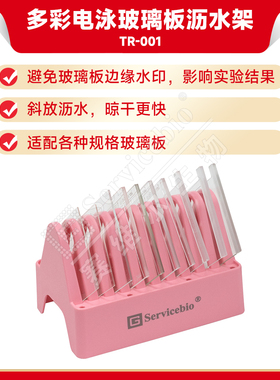 现货 赛维尔生物Servicebio 多彩电泳玻璃板沥水架 TR-001 科研实验