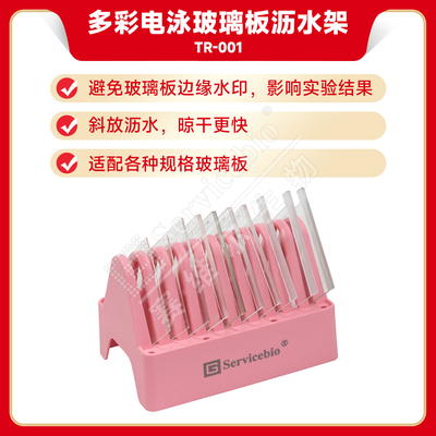 现货 赛维尔生物Servicebio 多彩电泳玻璃板沥水架 TR-001 科研实验