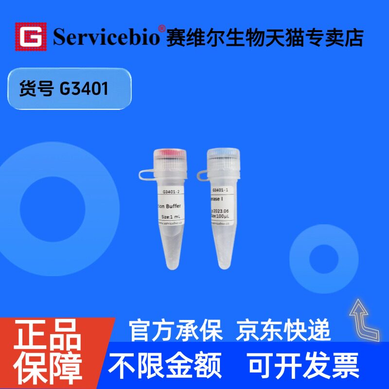 现货 DNA topoisomerase I (vaccinia virus) 1000U G3401 赛维尔生物Servicebio 科研实验 重组蛋白/酶