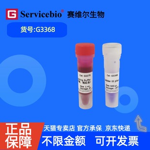 现货 赛维尔生物Servicebio GN100bp DNA Ladder III plus G3368 500μL 5×500μL 科研实验