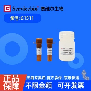 现货 赛维尔生物Servicebio Annexin V-FITC/PI细胞凋亡检测试剂盒（绿光FITC+红光PI） G1511 50T 100T