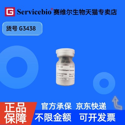 现货 Recombinant Catalase 10mg G3438 赛维尔生物Servicebio 科研实验 重组蛋白/酶
