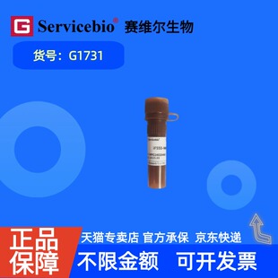 现货 赛维尔生物Servicebio iF555-Wheat Germ Agglutinin(WGA,红光) G1731 100μL 科研实验