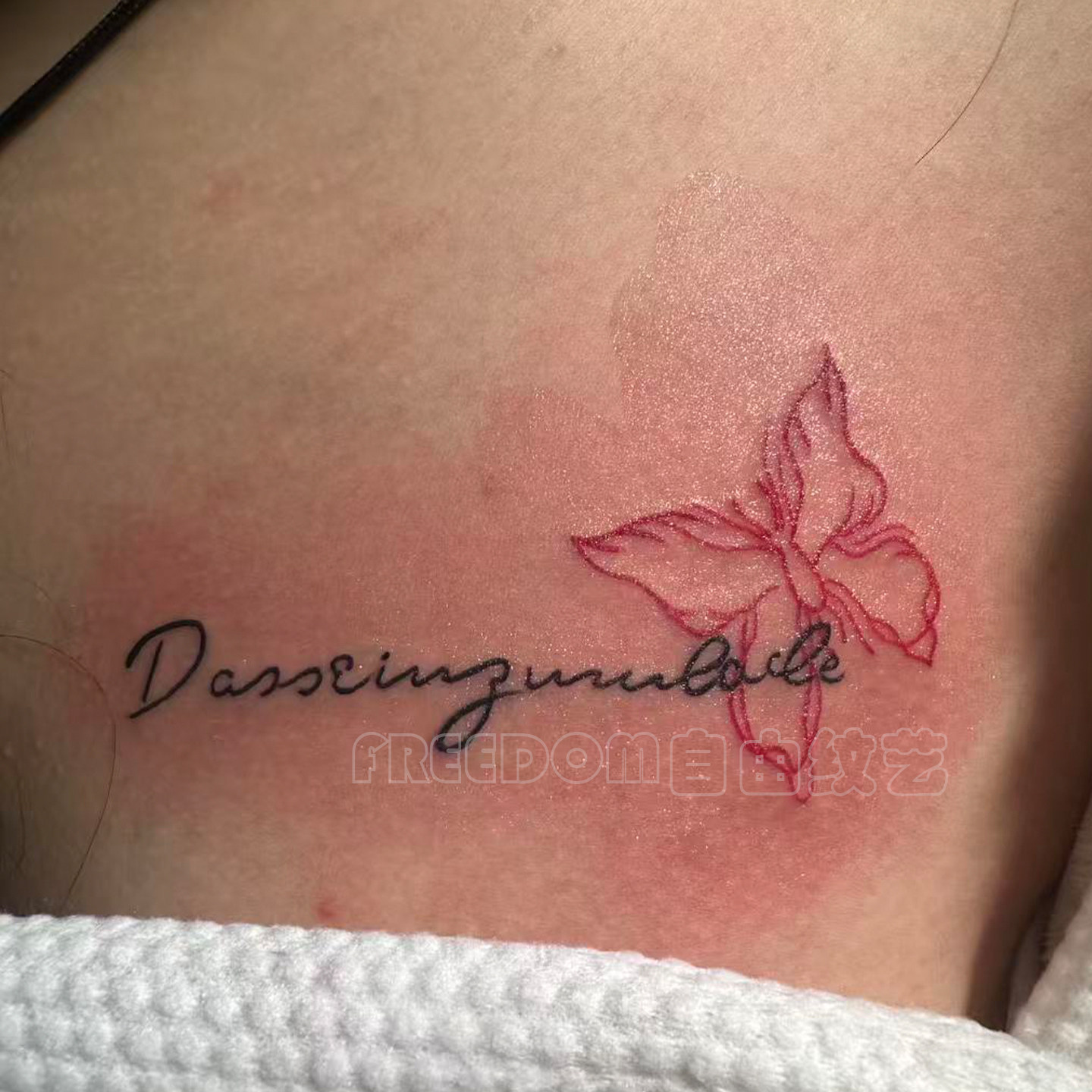 向死而生 唯美纯欲蝴蝶彩色纹身贴手腕胸口防水持久男女遮疤贴纸,家居饰品,其他贴饰,淘宝优惠券,粉丝福利购,淘宝优惠卷