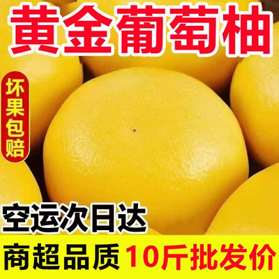 爆汁柚子福建黄金葡萄柚新鲜水果当季黄心蜜柚文甜西柚整箱旦包邮