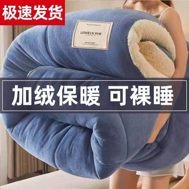 羊羔绒被子冬被10斤棉被加厚保暖秋冬季宿舍单人学生冬天双面被芯