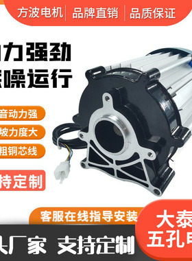 电动三轮车电机6i0V大泰款五孔大功率直流无刷电动机3000W马达配