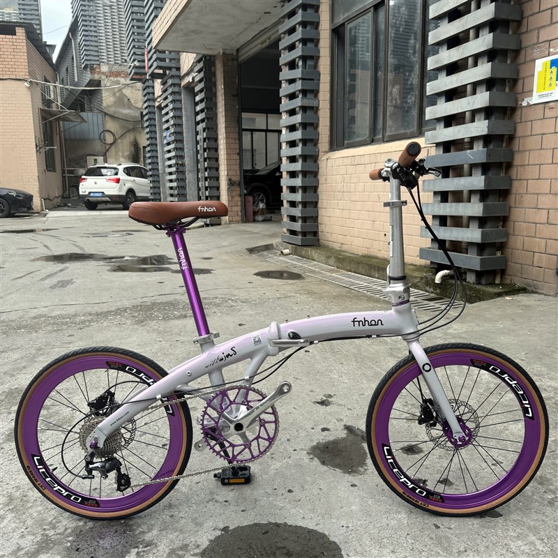 2025款风行海豚折叠y车铝合金车架P10超轻高性能PD2018