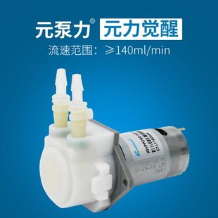 迷你实验室自吸泵循环小泵 蠕动泵12v微型水泵 24v小型滴定抽水泵