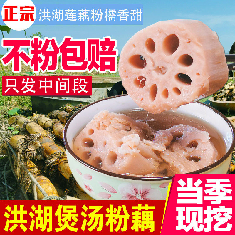 正宗湖北特产洪湖粉藕新鲜现挖糯米藕煲汤带泥九孔藕带泥装炖汤