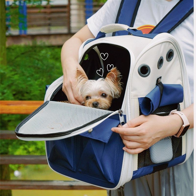 狗狗背包外出包宠物包夏s天透气双肩书包携带狗出行袋猫咪外带猫,宠物/宠物食品及用品,背包/箱包,淘宝优惠券,粉丝福利购,淘宝优惠卷