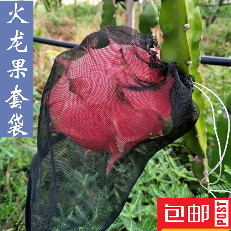水果防鸟防果蝇防虫网袋黑色y火龙果专用套袋套果袋规格齐全包邮