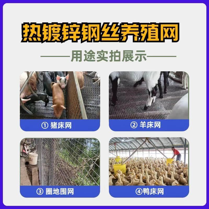 加粗加密热镀锌筛网钢丝网防锈网片养殖漏粪网工业V波浪防护围栏,金属材料及制品,丝网/金属网,淘宝优惠券,粉丝福利购,淘宝优惠卷
