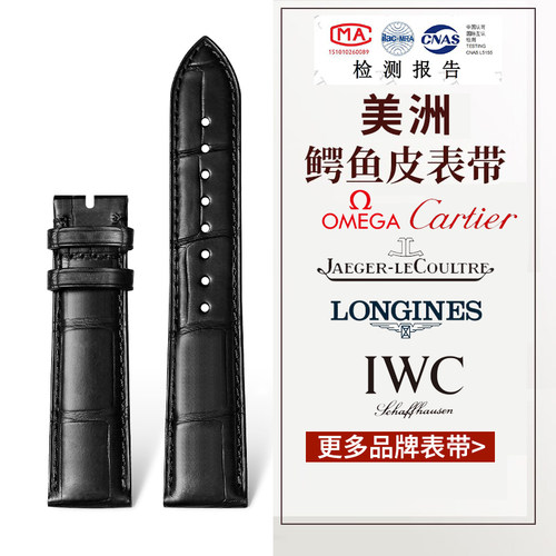 A级美洲鳄鱼皮表带真皮男