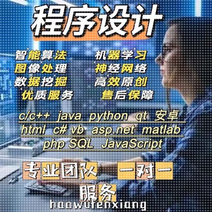 c语言程序代做java代写安卓软件c++qt代码python设计c#vb.net编程