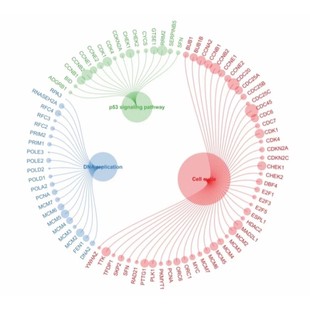 金厘单晶Cu熔化分子动力学lammps模拟径向分布数势能变化
