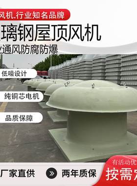 防腐防爆BDWT 6#玻璃钢轴流式屋顶风机 带防雨帽离心式厂家