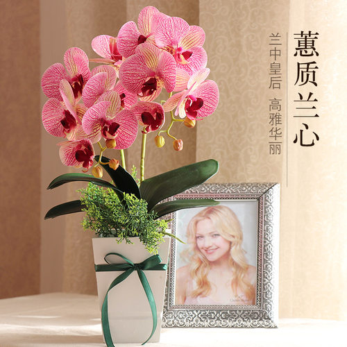 仿真艺装 D打印蝴蝶兰档家居客厅装饰白色餐桌仿真紫色