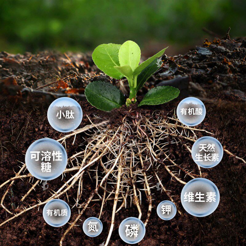盐碱地土壤改良剂肥抗盐抗碱星向调生根提苗促生长农用
