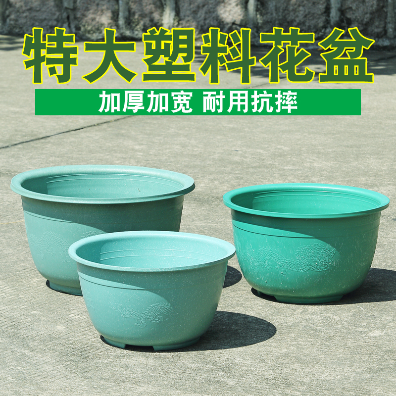 夏季来了户外塑料花盆庭院种植果树盆景盆大尺码加厚耐用龙缸荷花
