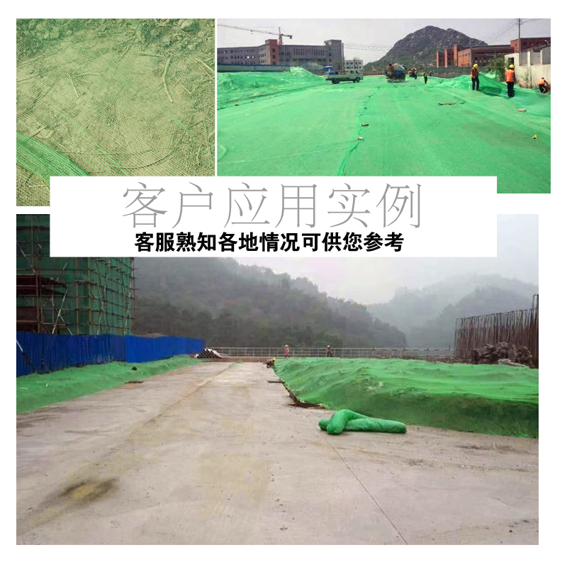 盖土网防尘网建筑工地绿网覆盖绿化网盖渣土裸土煤炭绿色234689针