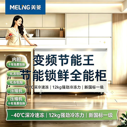 美菱300L小型冷柜零下40度