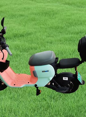 九号B30C/B35/B4m0/B110P/B110M/C30/C40/C60/C80电动车后备箱尾