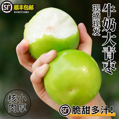 正宗牛奶大青枣奶香脆甜苹果枣